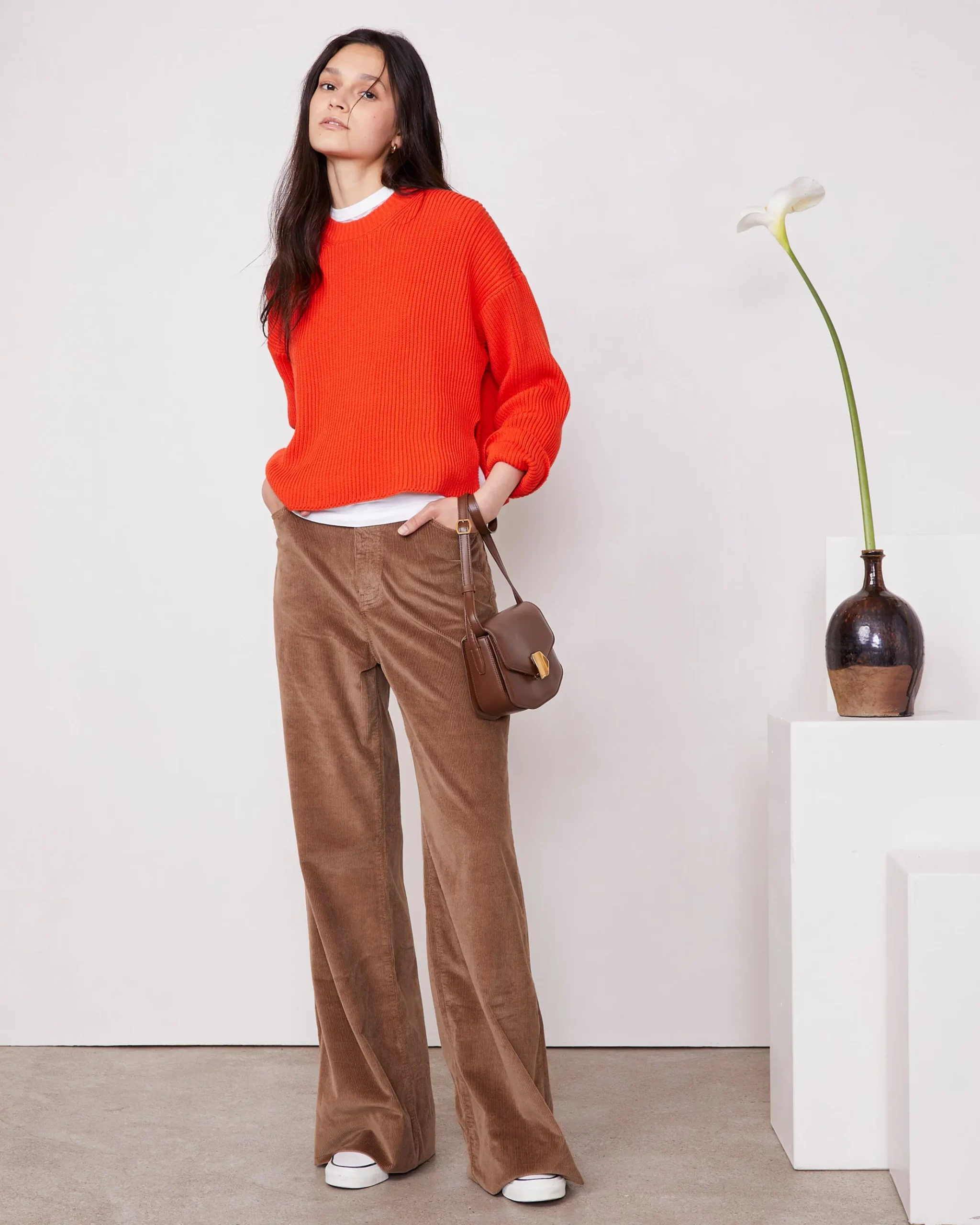 Pull luccita