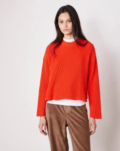 Pull luccita